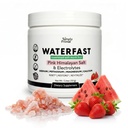 WATERFAST Monk Frukt Keto Electrolyte pulver for faste og hydrasjon- Strawberry Watermelon Flavor | Pink Himalaya Salt (Sodium), Kalium, Magnesium, Kalsium | Sukkerfri
