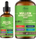4-i-1 Mullein Drops for Lungs, Organic Mullein Leaf & Honeysuckle & Eucalyptus Leaf & Echinacea Extracts, for Lung Cleanse, Immun & Respiratorisk støtte, Sukkerfri | Ikke-GMO | Vegan, 2 Fl oz