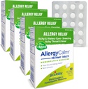Boiron AllergyCalm tabletter 240 greve, Relief fra allergier og Hay Fever symptomer på sensing, Runny nese, kløende øyne, Throat, Allergy Calm Tabs (tidligere RhinAllergy) (pakke med 4 60ct bokser)
