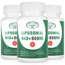 NAD + Supplement Liposomal NAD + Plus 800MG Nicotinamid Riboside Alternativ for celleenergi, sunn aldring og muskelreparasjon 180 kapsler (pakke med 3)