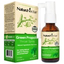 NaturaNectar - Grønn Propolis Throat Spray - Unik, beroligende Throat Care Relief med brasiliansk Bee Propolis - Naturlig og ikke-alkoholisk Throat Care Formula fra bærekraftig biavl (1-Pack, 30ml)