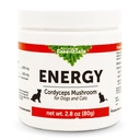 Dyr Essentials Energi Cordyceps Mushroom Supplement for hunder og katter - Støtte Stamina & utholdenhet, sunn respirasjon og nyrefunksjoner, antioksidant, Mushroom Powder Extract - 2,8 Oz (Pack of 1)