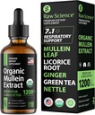 Organic Mullein Drops for Lungs - Respiratorisk støtte & Mucus Relief - Lung Detox for Røykere: Mullein Leaf Extract, Licorise, Ginger, Oregano & Nettle Leaf, Thyme - Lung Cleanse Herbal Extract, 2oz