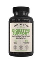 Crystal Star Digestive Support Supplement (60 Capsules) - Herbal Gut Health Supplement som hjelper med anlednings Gas & Bloating - Peppermynte, Aloe Vera, Slippery Elm & Ginger - Ikke-GMO