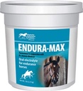 Kentucky ytelse Endura-Max Electrolyte Supplement for hester, 5 pund