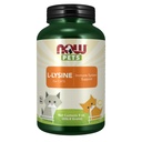 Nå Pet Health, L-Lysine Supplement, pulver, formet for katter, NASC-sertifisert, 8-Ounce