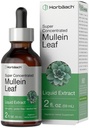 Horbäach Mullein Leaf Extract Drops | 2 fl oz | Alkoholfri flytende tinktur | Vegetarisk, ikke-GMO & Glutenfri urtetilskudd