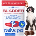 Native Pet Hund UTI behandling - Cranberry Supplement for hunder Blader Control & Njurestøtte - Forebygging av urinveistrakt infeksjon og urininkontinens - laget med ekte tranebær ekstrakt - 120 Chews