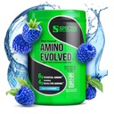 Arter Ernæring Amino involvert EAA & BCAA pulver, Fermentert grened kjede Aminosyrer, muskel gjenoppretting og utholdenhet, Pre & Post trening supplement (blå bringebær, 30 serveringer)