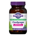 Oregon Wild Harvest Cordyceps Organic Mushroom Herbal Supplement (Freze-Dried) ® Endurance og Stamina Support, 60 greve