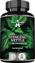 APOLLO'S HEGEMONY Stinging Nettle 500 mg - høy styrke ekstraksjon DER 4:1, 90 Vegan Kapsler, 3 måneders forsyning, Herbal Supplement for å støtte kardiovaskulær helse