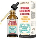 Liposomal Glutathione flytende 2000MG - Antioksidant Detox Supplement for kvinner og menn, Aging Defense, Leverfunksjon og energi, med Hyaluronsyre + Aloe Vera + Vitamin C, Naturlig & Vegan, 2 FL.OZ