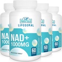 Liposomal NAD+ Supplement 1000 mg | Høyeste NAD Pontecy | Max Absorpsjon | Ren NAD Supplement | Energi og DNA Reparasjon, Aging Defense, Hjernefunksjon | 240 Softgels