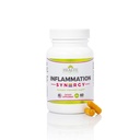 Helse som det egger å være Syn3rgy Supplement ® Lege formulert kapsler med gurkemeie, Pine Bark, Ginger Root ® 60 kapsler