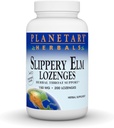 PLANETARI HERBALS Slippery Elm Lozenges, Tangerine, 200 greve