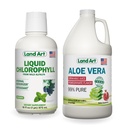 Land Art Aloe Vera Juice - Pomegranate Flavored - Cold Processed - Indre Filet fra organiske ferske blader - 64floz + flytende klorofyll Mint Flavored - kulde trukket fra vilde ikke-GMO Alfalfa - 16floz