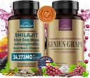Kognitiv velvære Bundle - Resveratrol Complex & Shilajit Fulvic Acid Minerals - Sea Moss, Ashwagandha, klinisk testet Cognigrape Rød Grape ekstrakt - Ikke-GMO, Glutenfri, Vegansk Supplement