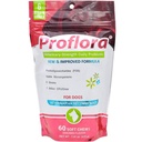 Probiotika for hunder-fullstendig Gut Health & Immune Support. Lett å bruke Digestive Multi-Strain Probiotika. Lettere kosthold overganger, sunnere hud & Coat & Hjelper behandle diarrea. 60 Myke Chews