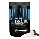 Animal Creatine Monohydrat pulver - Mikronisert Kreatin for kvinner og menn, støtter muskelvekst, styrke, utholdenhet, gjenoppretting og ATP produksjon, Gym og trening kosttilskudd - Unflavored, 500g