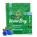 Waterboy Workout Hydration ® 2.960 mg Sukkerfri Elektrolytt pulver pakker | L-Glutamin + Vitaminer | Ingen sukker, Alt naturlig, Glutenfri | 15 Drikke Stick Blander (Blue Raspberry)