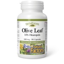 Urtefabrikker av naturlige faktorer, Olive Leaf 500 mg, naturlig velvære formel, 90 kapsler