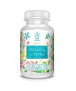 ACTIF organisk prenatal vitamin med 30+ organisk vitaminer, 100% naturlig, DHA, EPA, Omega 3, og organisk herbal blanding - Ikke-GMO, 90 greve, 2024 Formula