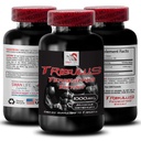 Stamina støtteformula - TRIBULUS TERRESSTRIS EXTRACT - strømavlastning, strømstøtte blanding, fysisk boost, plantedrevet energi, kroppsstøtteformula, styrke og kraft, aktiv styrke 1Bot 90Tab
