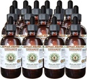 Cinnamon alkoholfri flytende ekstrakt, kanel (Cinnamomum Verum) tørket Bark Glycerite Hawaii Pharm Naturlig Herbal Supplement 15x4 oz