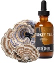 North Spore Organic Tyrkia Tail Tinktur | Mushroom Supplement for immun velvære | Bekreftet for potens | Trametes Versicolor | Vegan, ikke-GMO - 2oz