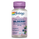 SOLARAY Bilbærbærbær ekstrakt 60 mg | Kraftig antioksidant | sunn visjon og sirkulasjon støtte | 60 Vegkaps