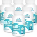 Liposomal NAD + Supplement 1000 mg | Høyeste NAD Pontecy | Max Absorpsjon | Ren NAD Supplement | Energi og DNA Reparasjon, Aging Defense, Hjernefunksjon | 360 Softgels