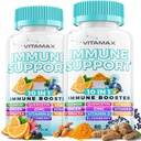 10-i-1 immunstøtte med eldrebær, D3, Selenium, Quercetin, Sink, Vitamin C, Ginger, Turmeric Curcumin, B6, Echinacea – immunforsvar – laget i USA (60 greve (Pack of 2))