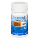 Silica-100 faner Merke: Schuessler Vessue Salts