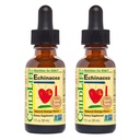 CHILDLIFE ESSENTIALS Echinacea for barn - Kids Echinacea dropper, flytende tinktur, alkoholfri kosttilskudd for babyer, tilhengere, barn - naturlig oransje, 1 fl Oz (pakke med 2)