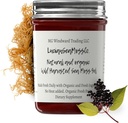 Dr. Sebi Inspirert Alkaline Økologisk Fersk Eldrebær Ginger Sea Moss Gel - Naturlige essensielle vitaminer, Mineraler Plus Antioksidanter Wild Harvested fra Saint Lucia (8 oz.)