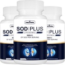 Superoksid Dismutase Supplement 500mg - SOD Plus med Liposomal Glutathione, AKG, Grønn Te Ekstrakt, L-arginin, Lysin, Resveratrol og vitamin E for immunstøtte, Antioksidant 180 kapsler