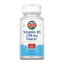 Kal 250 Mg Niacin Tabletter, 100 Telling