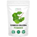 Ginkgo Biloba pulver 8 oz - Pure Natural Supplement, Brain Support, Mental Alerthet, Filler Gratis