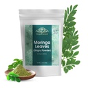 Moringa etterlater pulver Oleifera Leaf Shigru Flott i drinker og smoothies 16 Ounce