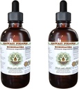 Echinacea alkoholfri flytende ekstrakt, Echinacea (Echinacea Angustifolia) tørket rot glyseritt Hawaii Pharm Naturlig Herbal Supplement 2x4 oz