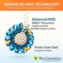 REVGENETICs Advanced NAD + Supplement, 60 kapsler - Kosttilskudd for sunn aldring og lang tid