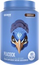 BIRDMAN Peacock Vegansk Protein pulver | Komplett Plant Basert Måltid Erstatning Shake med magnesium, vitamin D, MCT olje | Alt i ett Supplement for menn og kvinner | Smooth Texture | Sjokolade Flavor