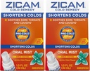 Zicam Cold Remedy Zink Arctic Mint Oral Mist, 1 Ounce (pakke med 2)