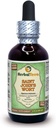 Saint John's Wort (Hypericum Perforatum) Glyceritt, organisk tørket urte alkoholfri flytende ekstrakt 2 oz
