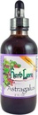 Herb Lore Astragalus Tinktur – flytende Astragalus Root Extract Drops - immunsystemstøtte – 4 Fl Oz