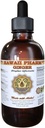 Hawaii Pharm Ginger flytende ekstrakt, organisk Ginger (Zingiber officinale) Tinkture Supplement 2 oz