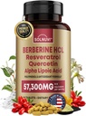 Premium Berberine Supplement med Resveratrol Quercetin Alpha Lipoic Acid - 50:1 Berberine HCl Complex Potent Antioksidanter, Polyfenoler, Vitality Boost - 90 Vegantabletter, ikke-GMO, Glutenfri