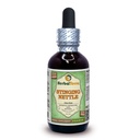 Herbal Terra LLC Sting Nettle (Urtica Dioica) Glyceritt, organisk tørkede blader alkohol-fri flytende ekstrakt 2 oz