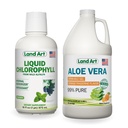 Land Art Aloe Vera Drikkebar Gel - Orange Tangerine Flavored - Cold-Processed - Økologisk ferske blader - 64floz + Flytende Klorophyll Mint Flavored - Kald ekstrahert fra Wild Non-GMO Alfalfa - 16floz