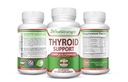 Thyroid støtte - Komplett Formel til å støtte energinivå med iodine, Bladerwrack, Kelp, B12 og mer-Tyroid energi: Boost T4 til T3 Supplement - Ikke-GMO